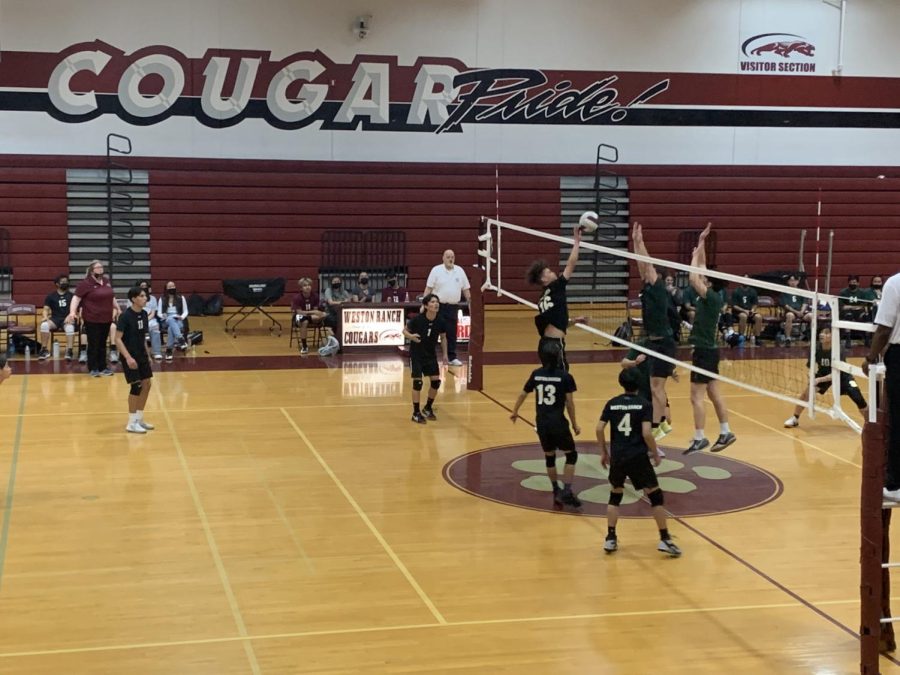 Cougars defend at the net