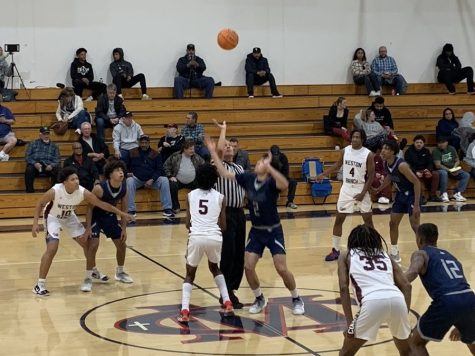 Cougars Tame Top 10 Titans in 79-48 Blowout