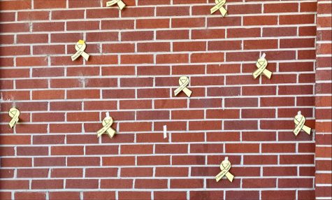 Yellow Ribbon Week: Peer Resources Raise Awareness – The Prowl