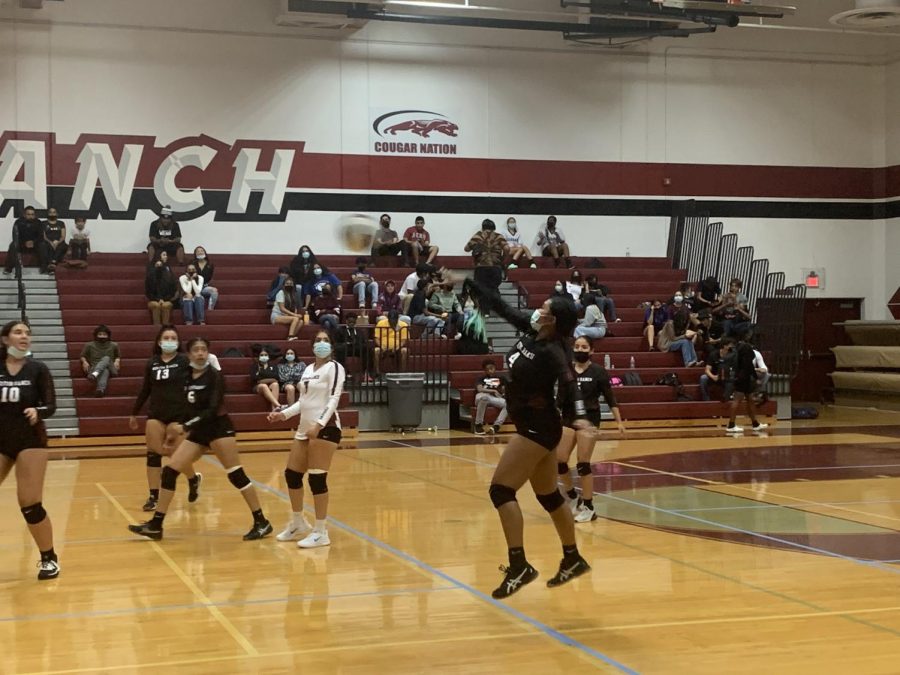 GIRLS+VOLLEYBALL%3A++Cougars+Dont+Lack+From+Effort