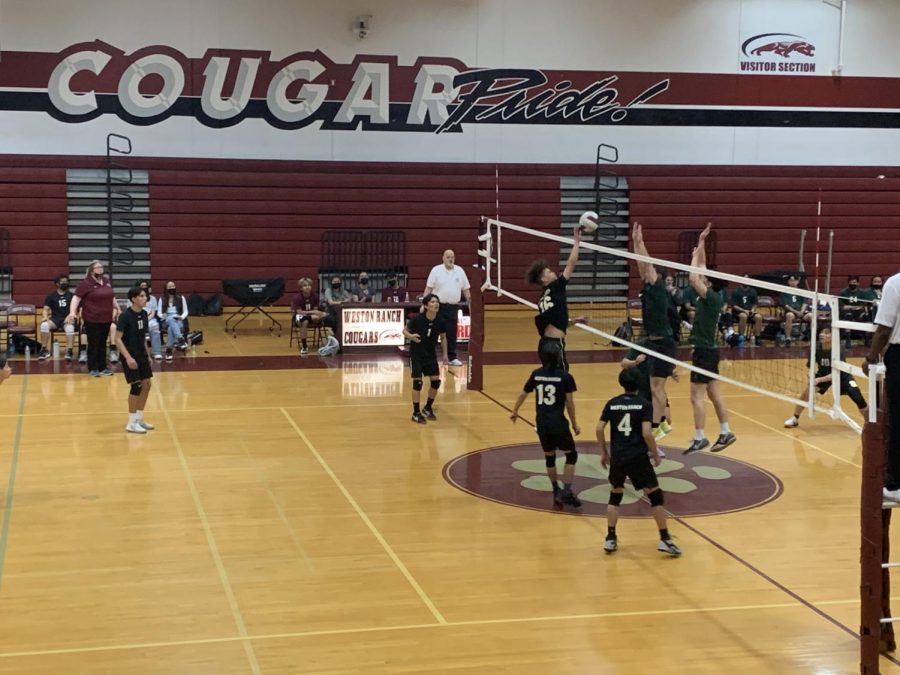Cougars+defend+at+the+net