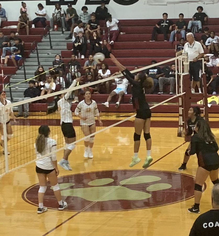 Anisa+Hekimian+with+another+block+at+the+net.