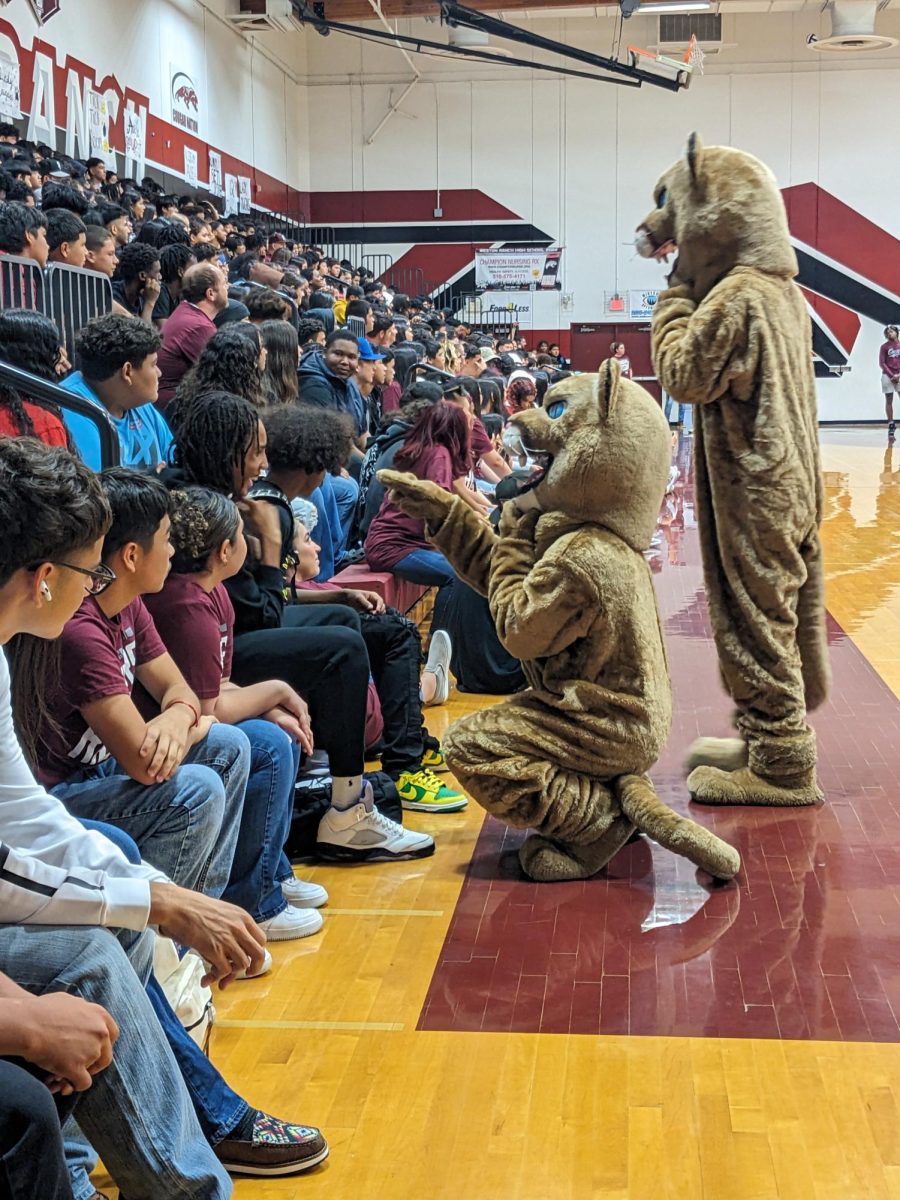 Cougars encourage Freshmen students to participate in the band led cheers during the 1st rally. 